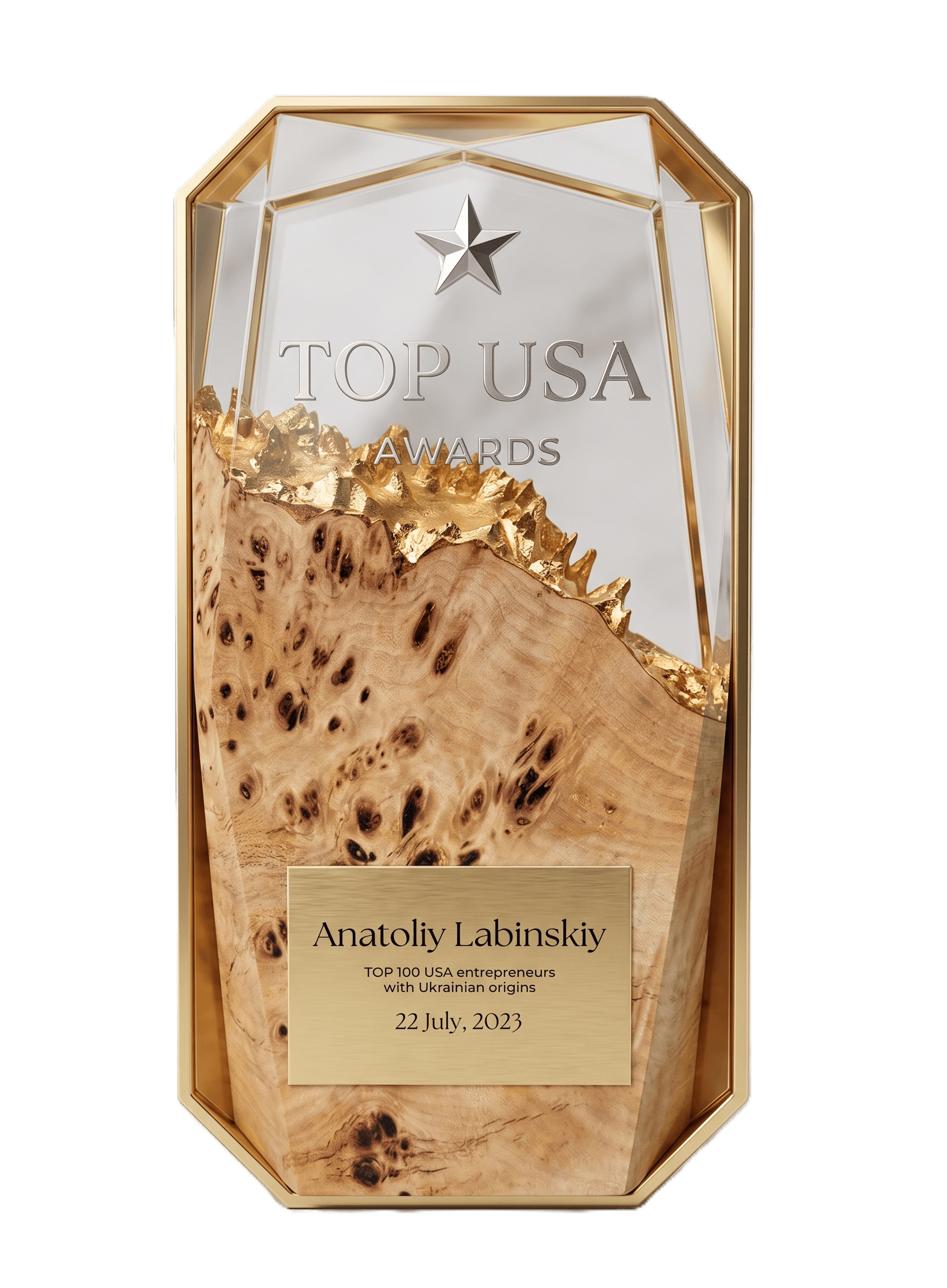 TOP USA Awards trophy presented to RiseRidge